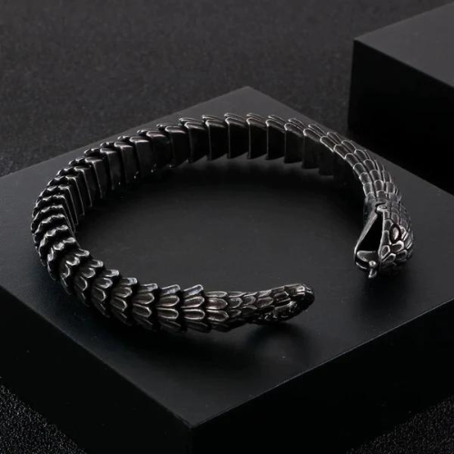 Retro Snake Link Chain Bracelet 4