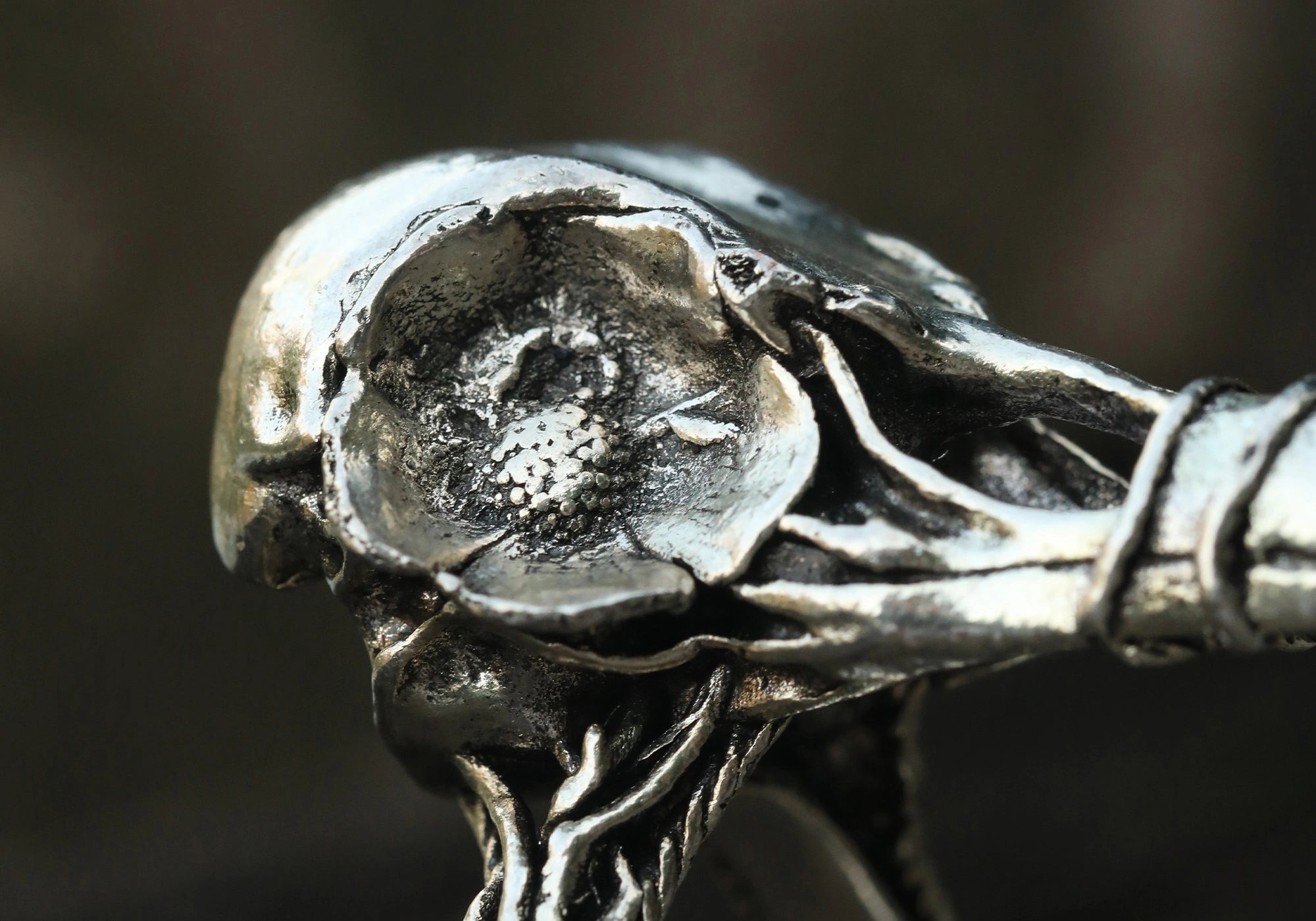 Vintage_Raven_Skull_with_Flower_Ring