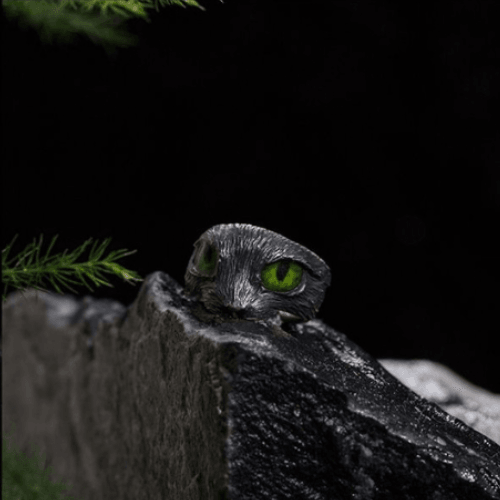 Wolfha Jewelry Knox Cat Eyes Vintage Zinc Alloy Clip Earrings 1