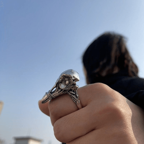Wolfha Jewelry Vintage Dimensional Crows Skull Ring 2
