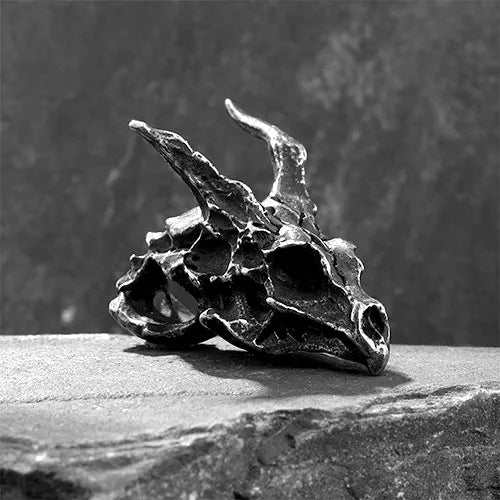 WOLFHA JEWELRY Retro Horn Dragon Skull Head Stainless Steel Pendant 2